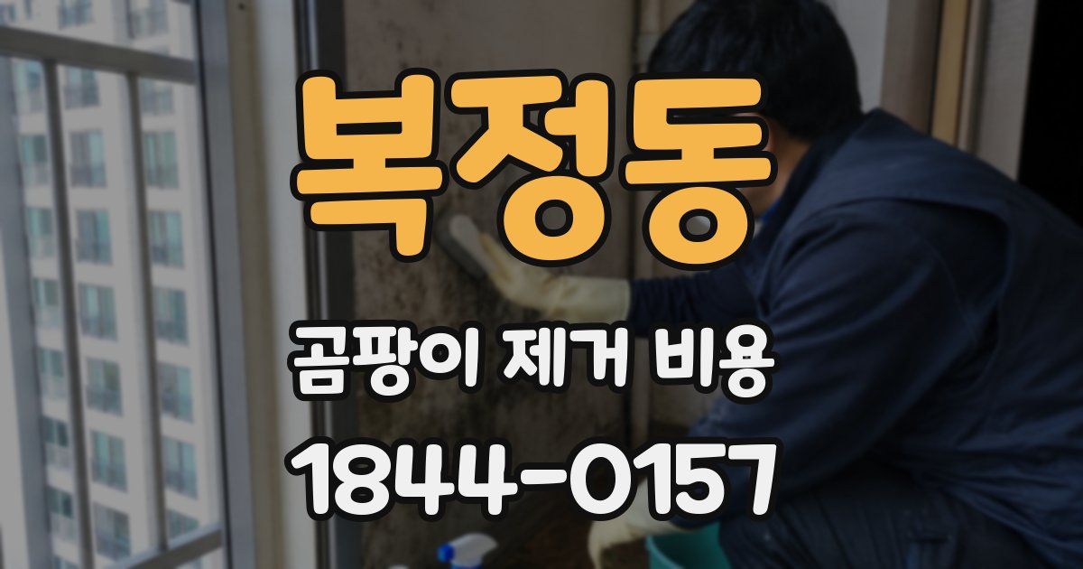 복정동 곰팡이 제거 비용