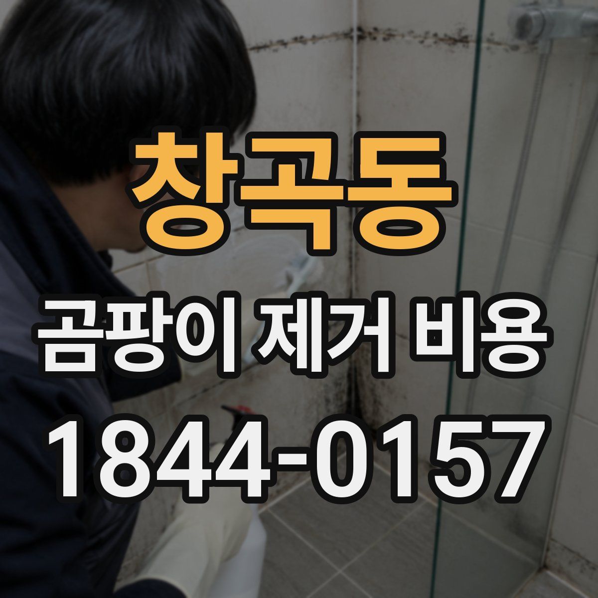 창곡동 곰팡이 제거 비용