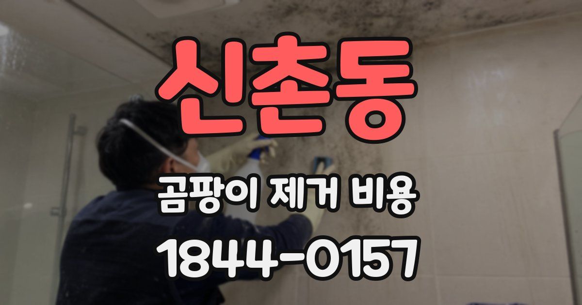 신촌동 곰팡이 제거 비용