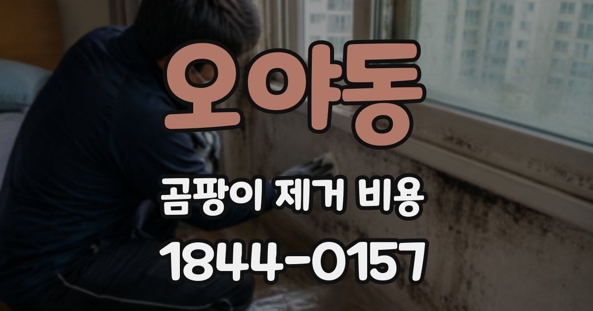오야동 곰팡이 제거 비용