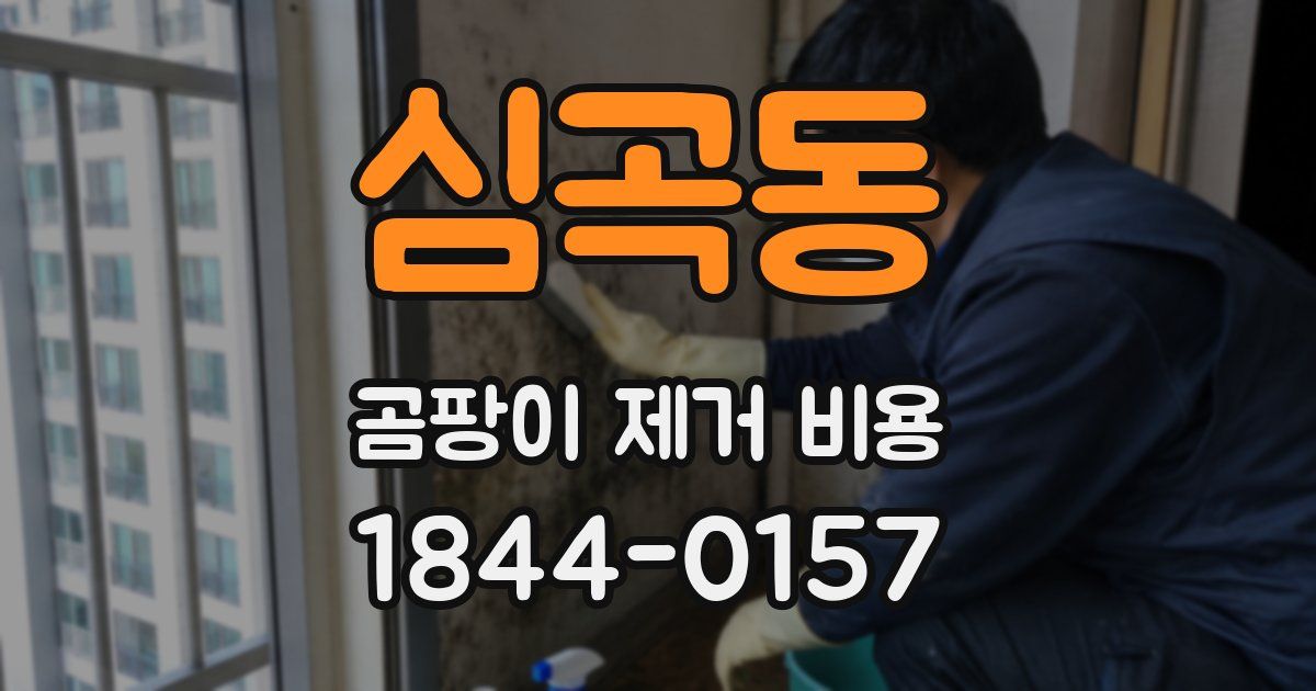 심곡동 곰팡이 제거 비용