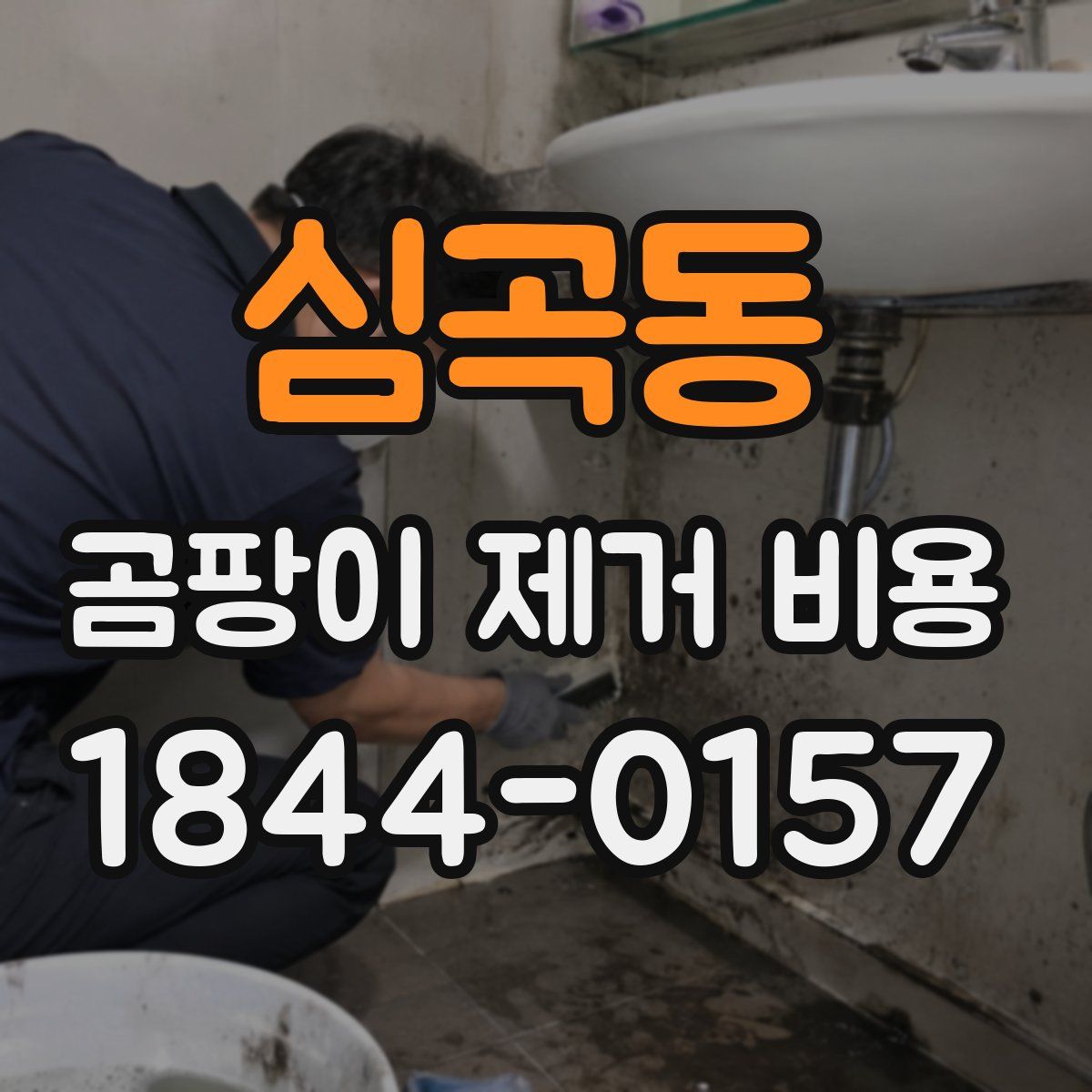 심곡동 곰팡이 제거 비용