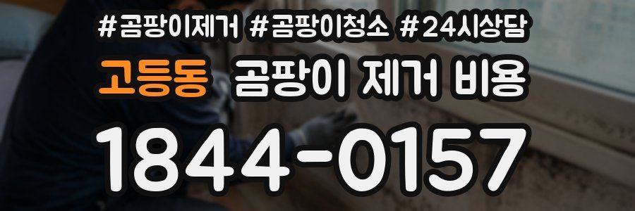 고등동 곰팡이 제거 비용