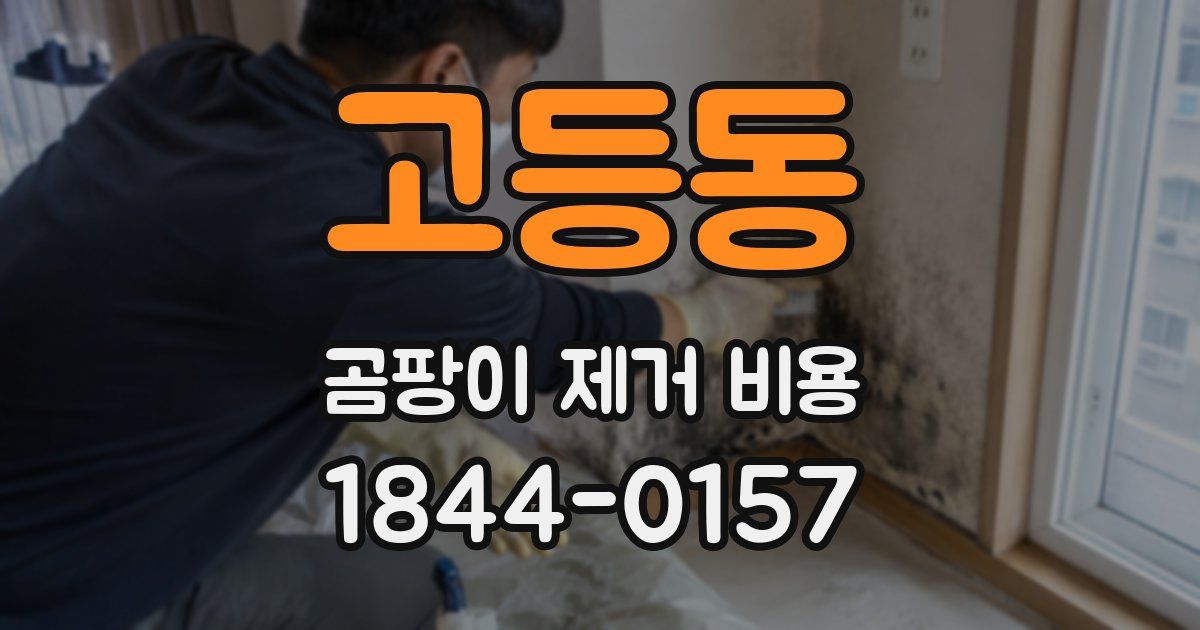 고등동 곰팡이 제거 비용