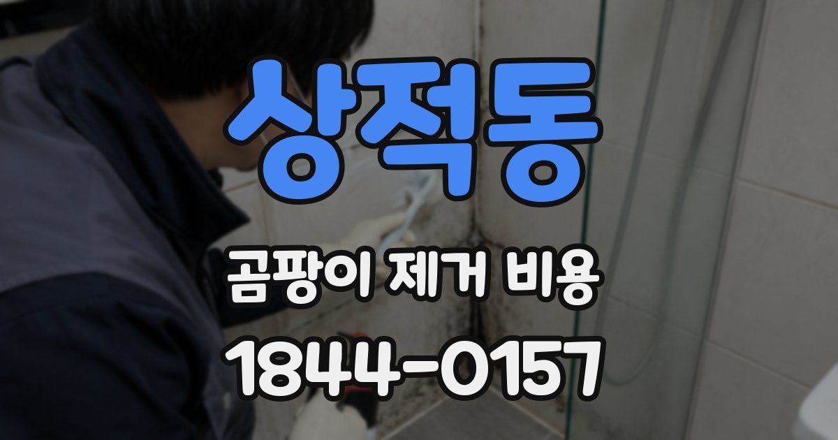 상적동 곰팡이 제거 비용