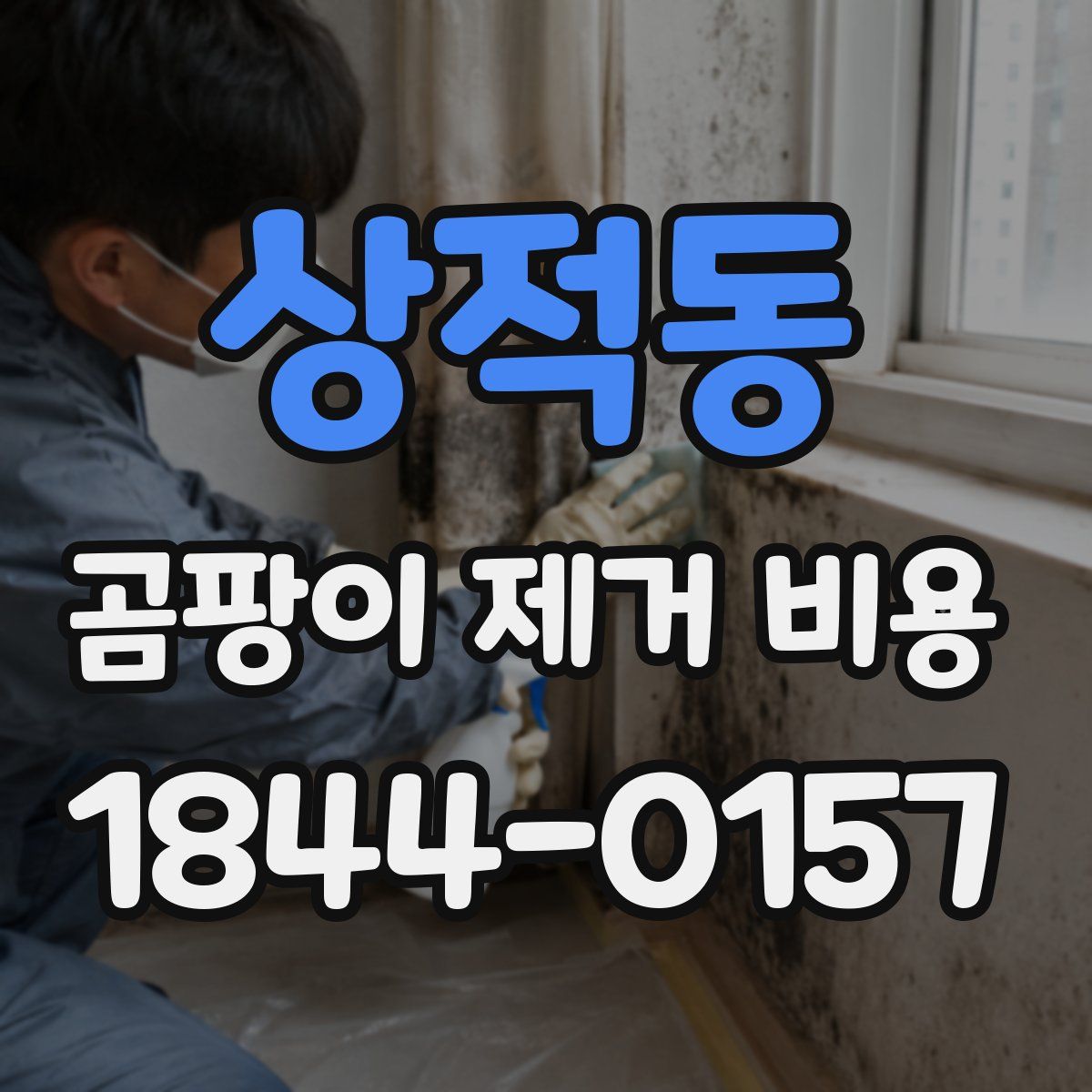 상적동 곰팡이 제거 비용
