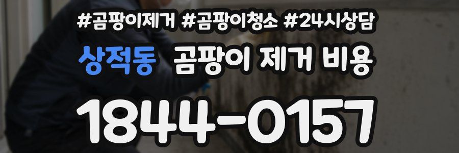 상적동 곰팡이 제거 비용