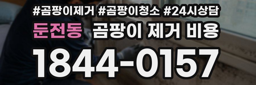 둔전동 곰팡이 제거 비용