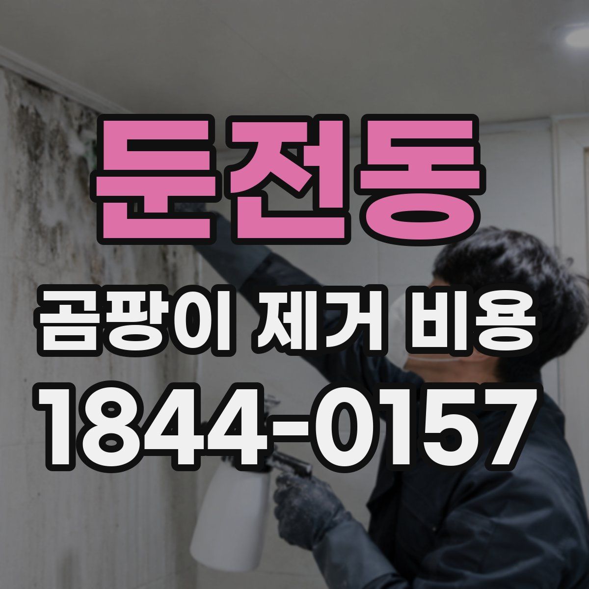 둔전동 곰팡이 제거 비용