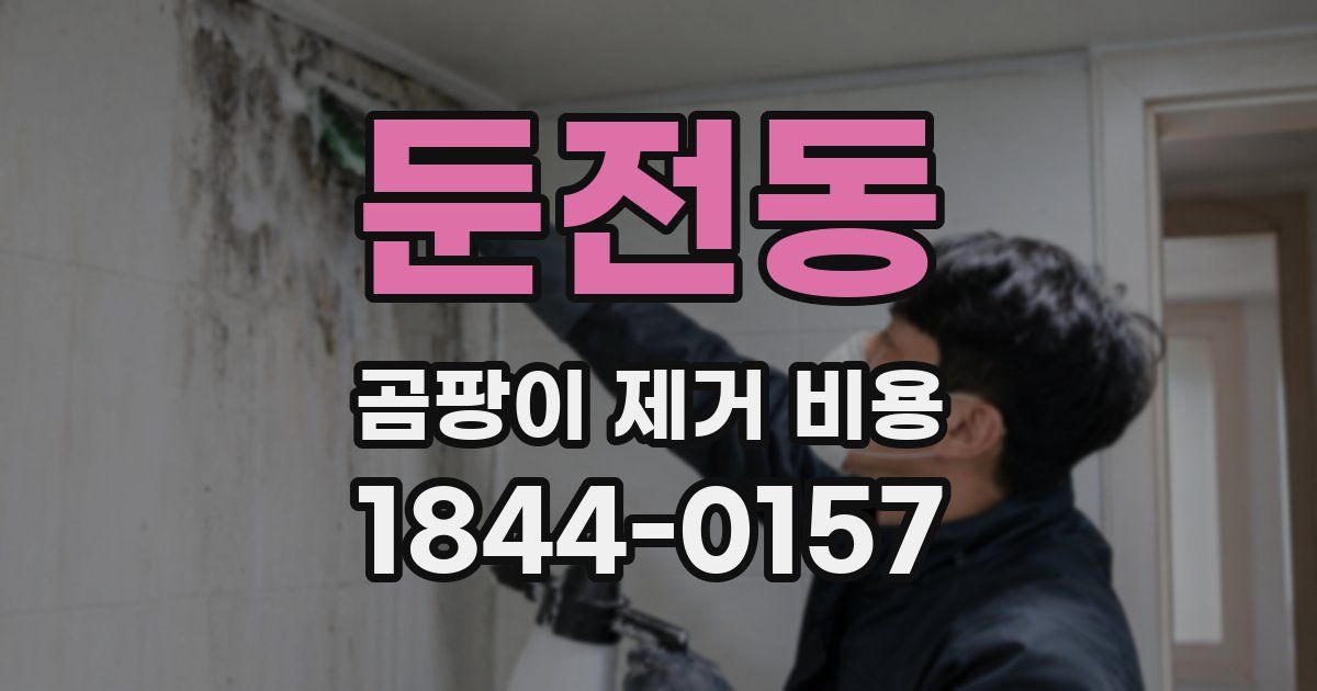 둔전동 곰팡이 제거 비용