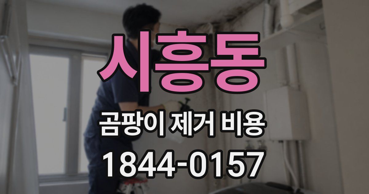 시흥동 곰팡이 제거 비용
