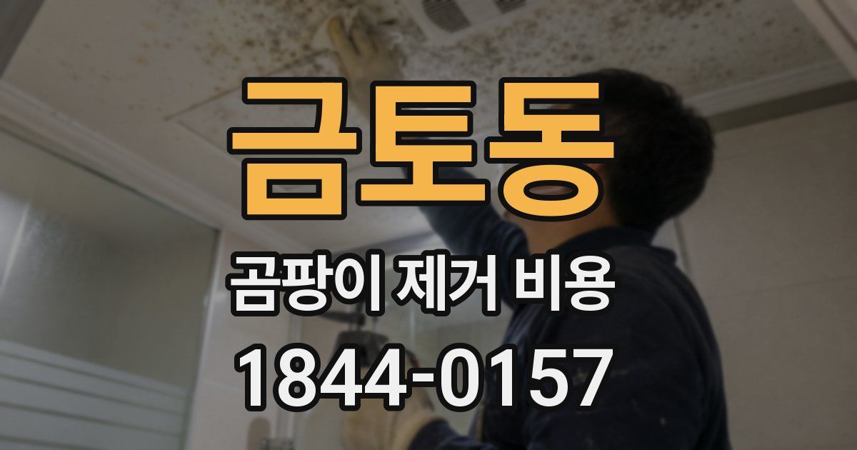 금토동 곰팡이 제거 비용