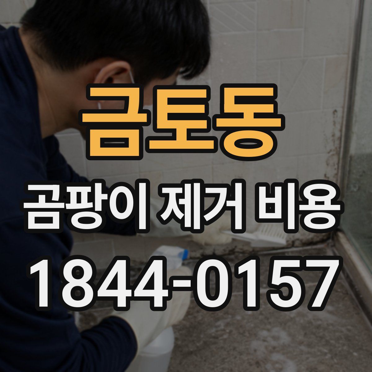 금토동 곰팡이 제거 비용