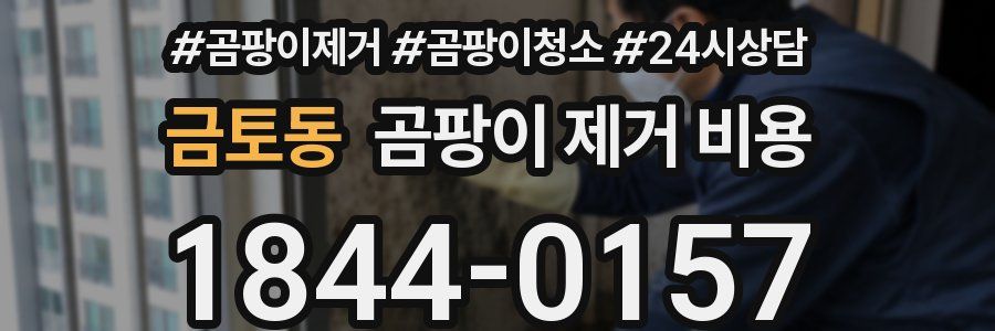 금토동 곰팡이 제거 비용