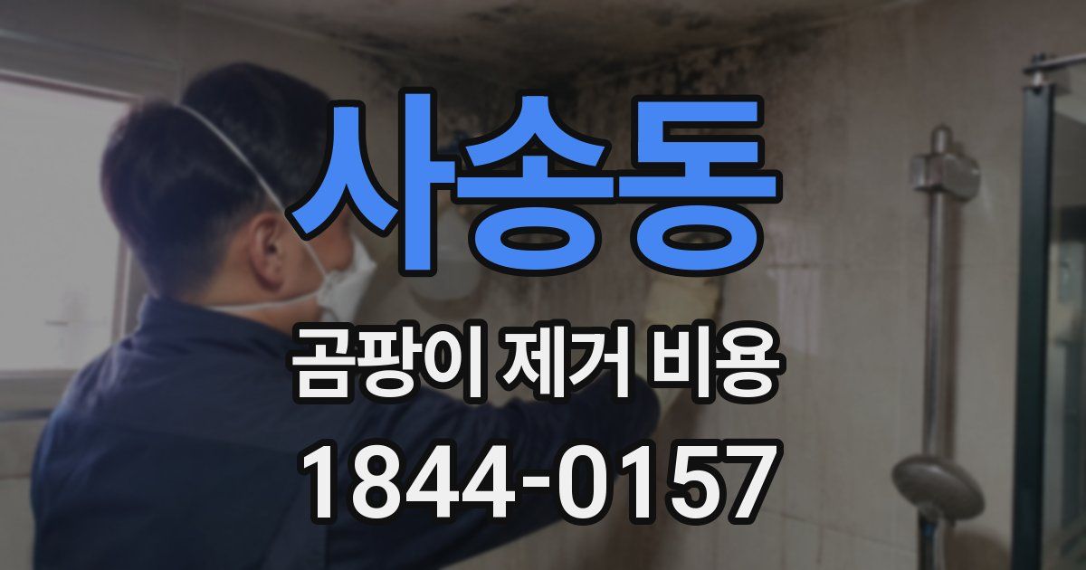 사송동 곰팡이 제거 비용