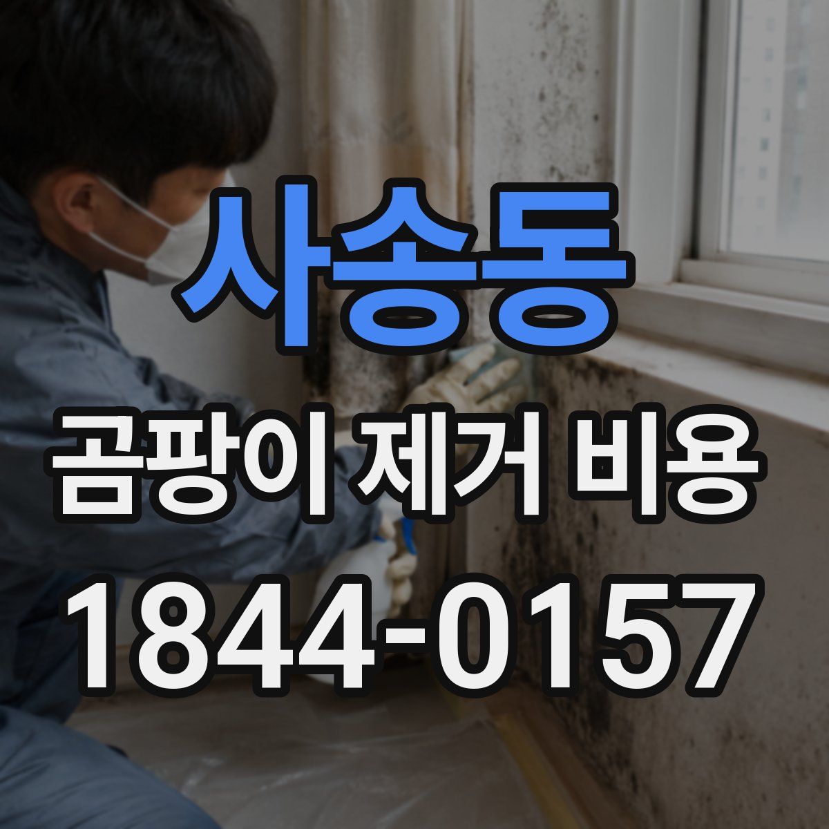 사송동 곰팡이 제거 비용