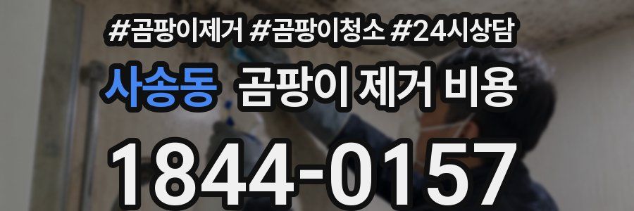 사송동 곰팡이 제거 비용