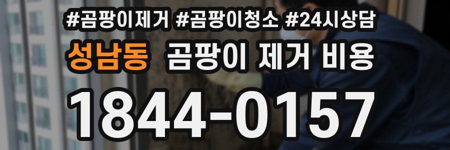 성남동 곰팡이 제거 비용