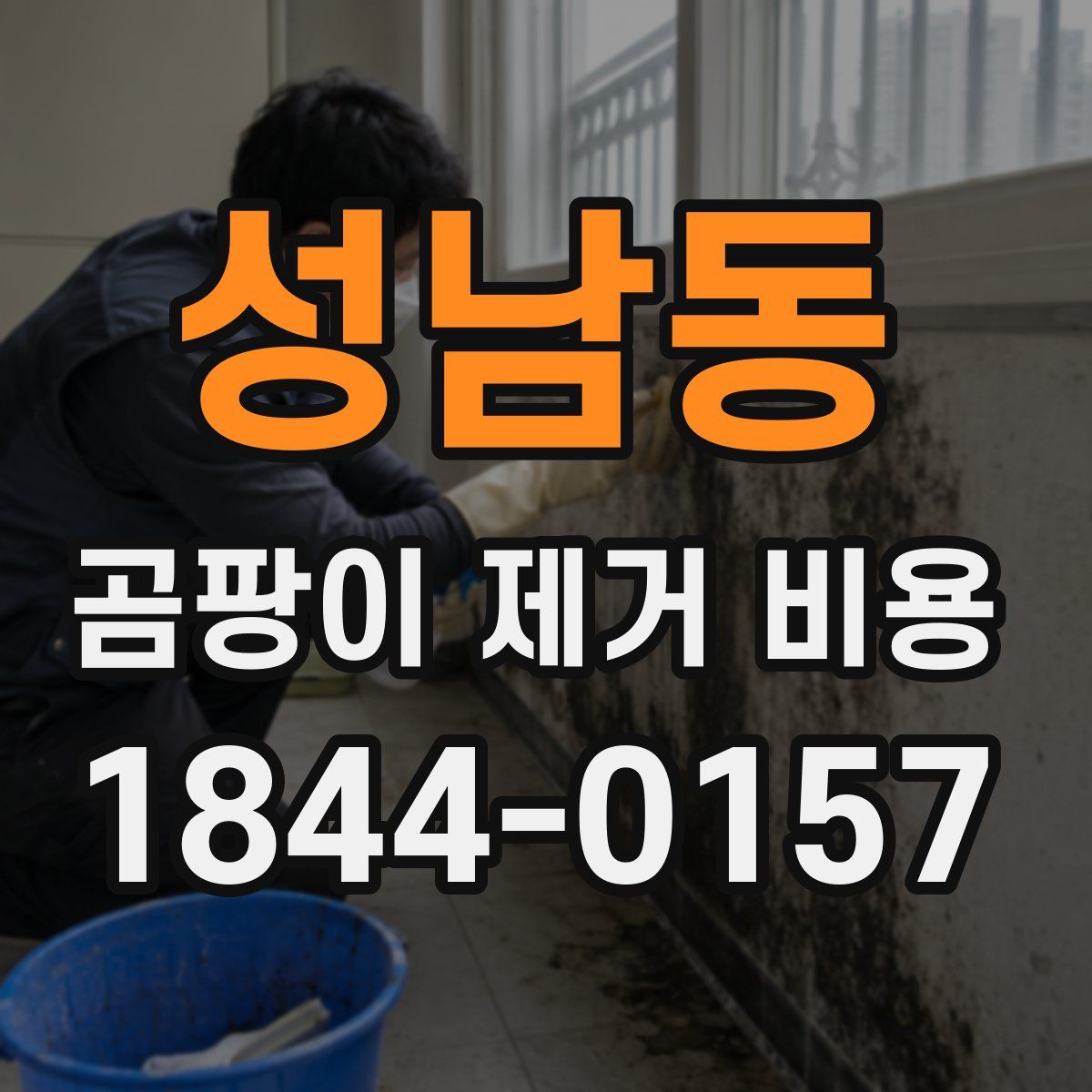 성남동 곰팡이 제거 비용