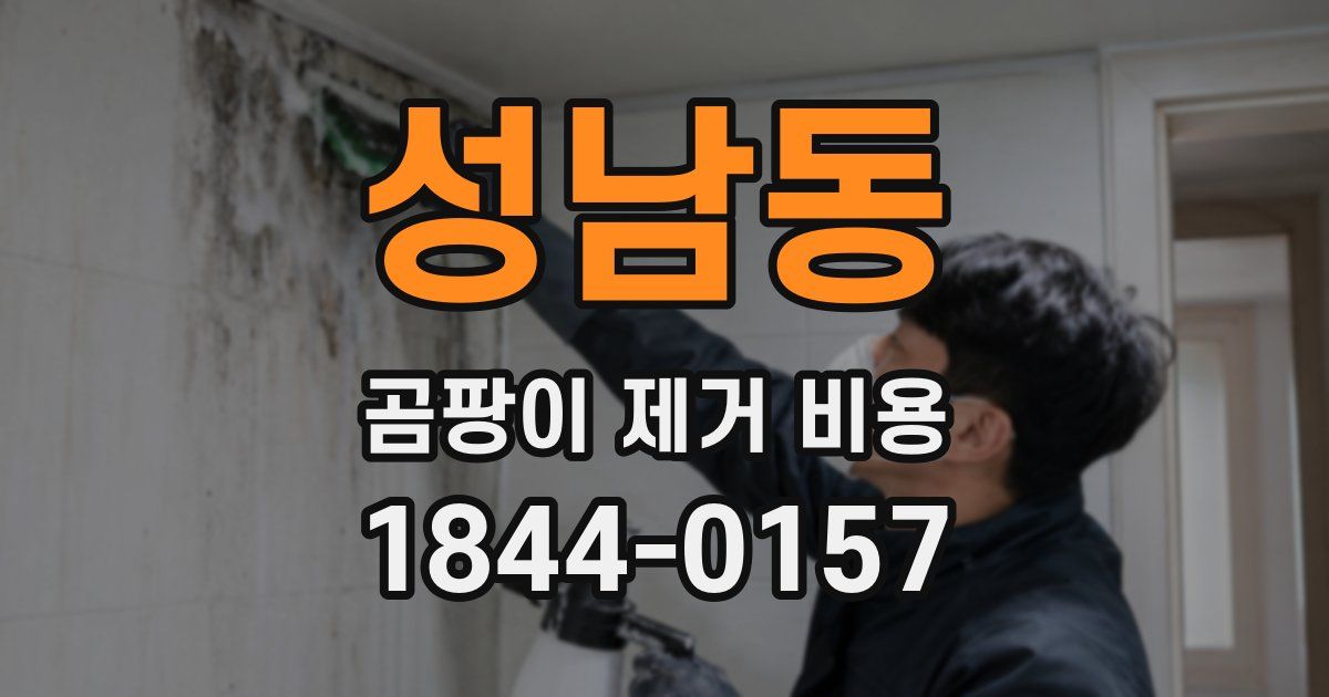 성남동 곰팡이 제거 비용