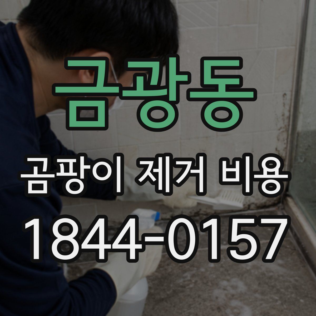 금광동 곰팡이 제거 비용