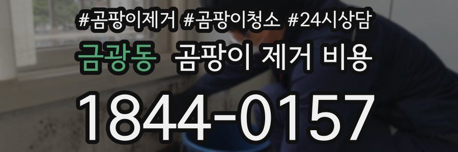 금광동 곰팡이 제거 비용