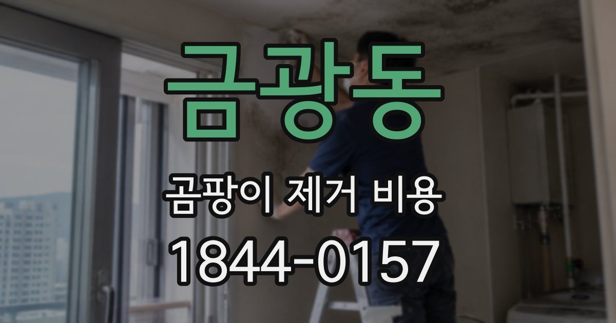 금광동 곰팡이 제거 비용