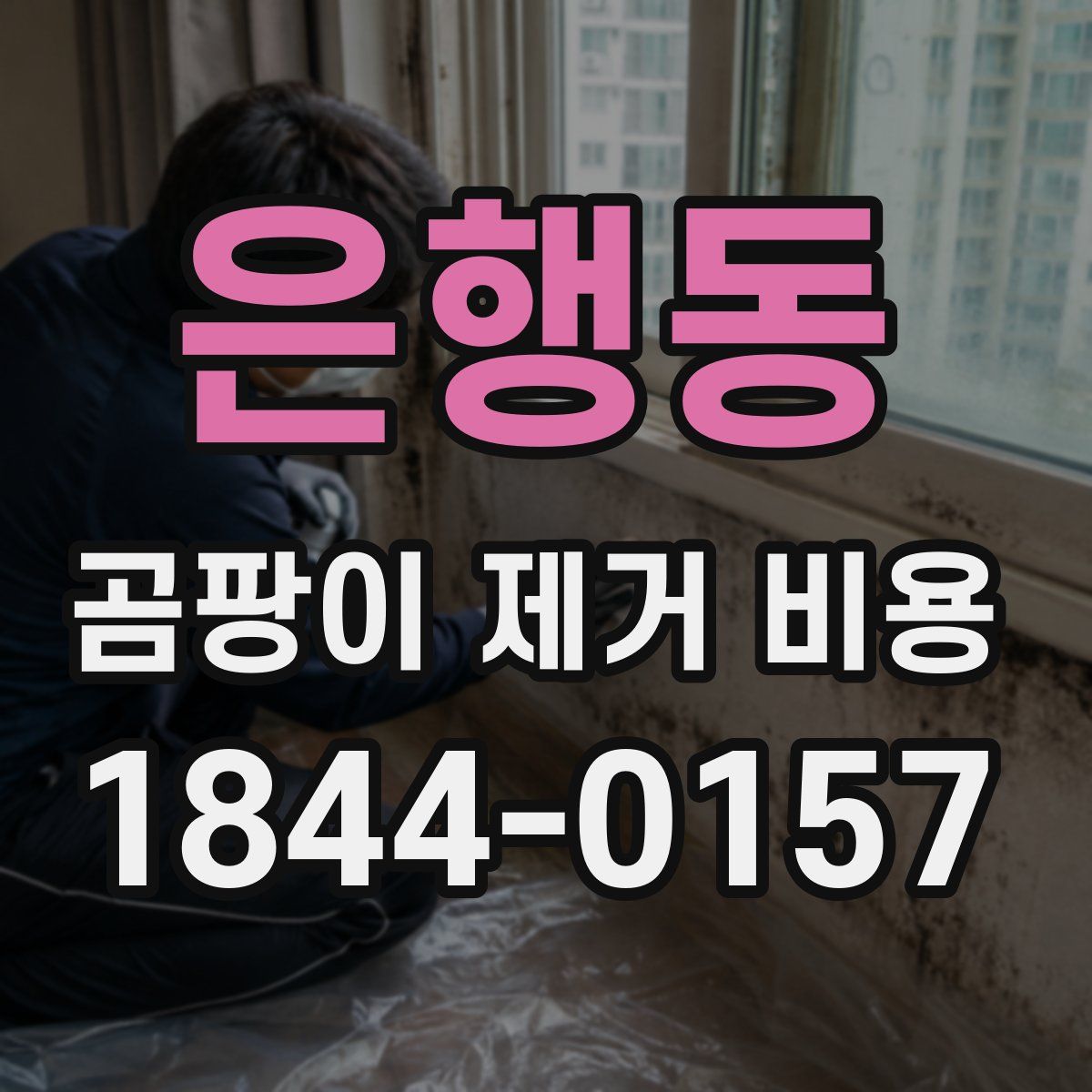 은행동 곰팡이 제거 비용