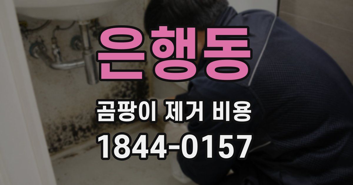 은행동 곰팡이 제거 비용