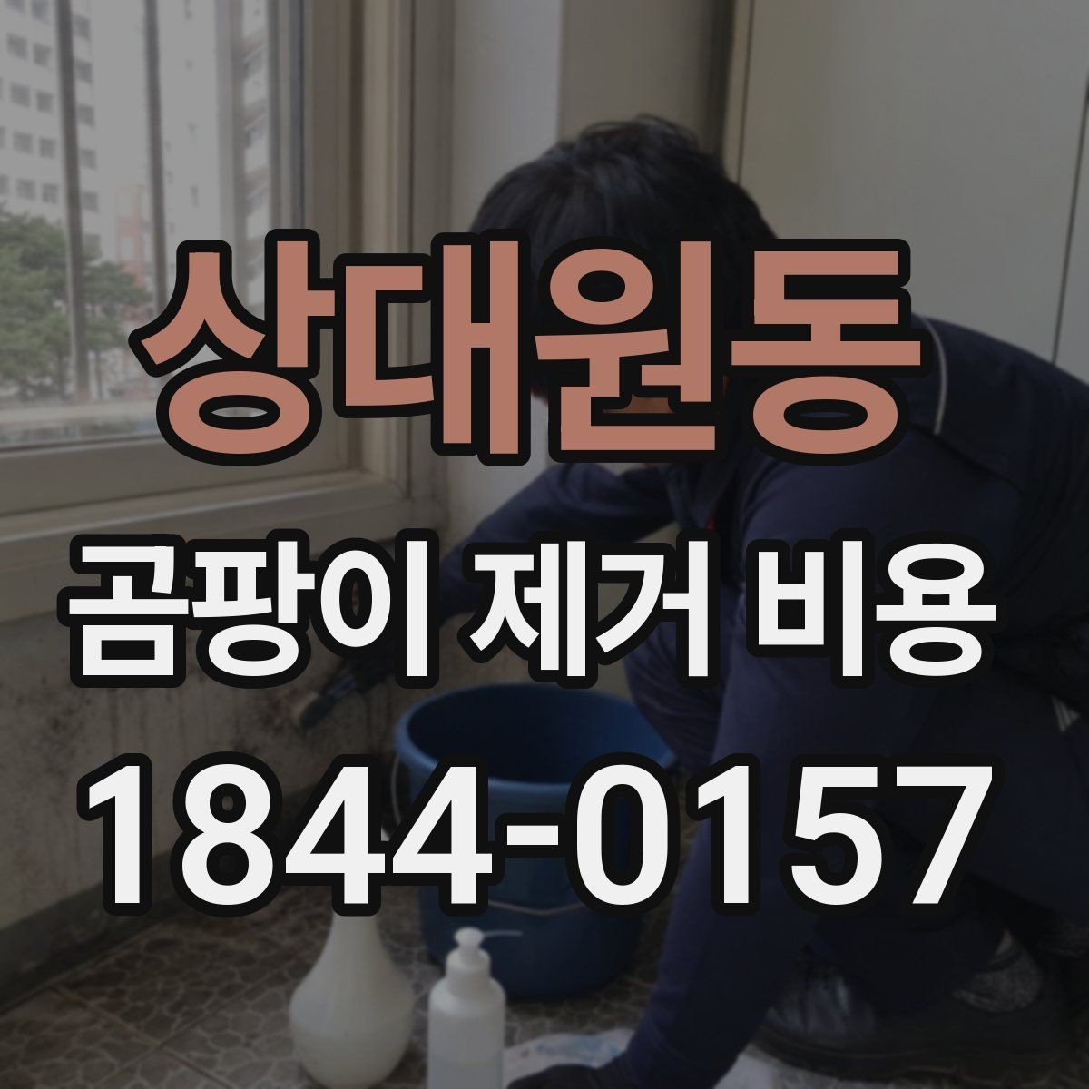 상대원동 곰팡이 제거 비용 부분 보수로 마무리 가능한 조건 살펴보기