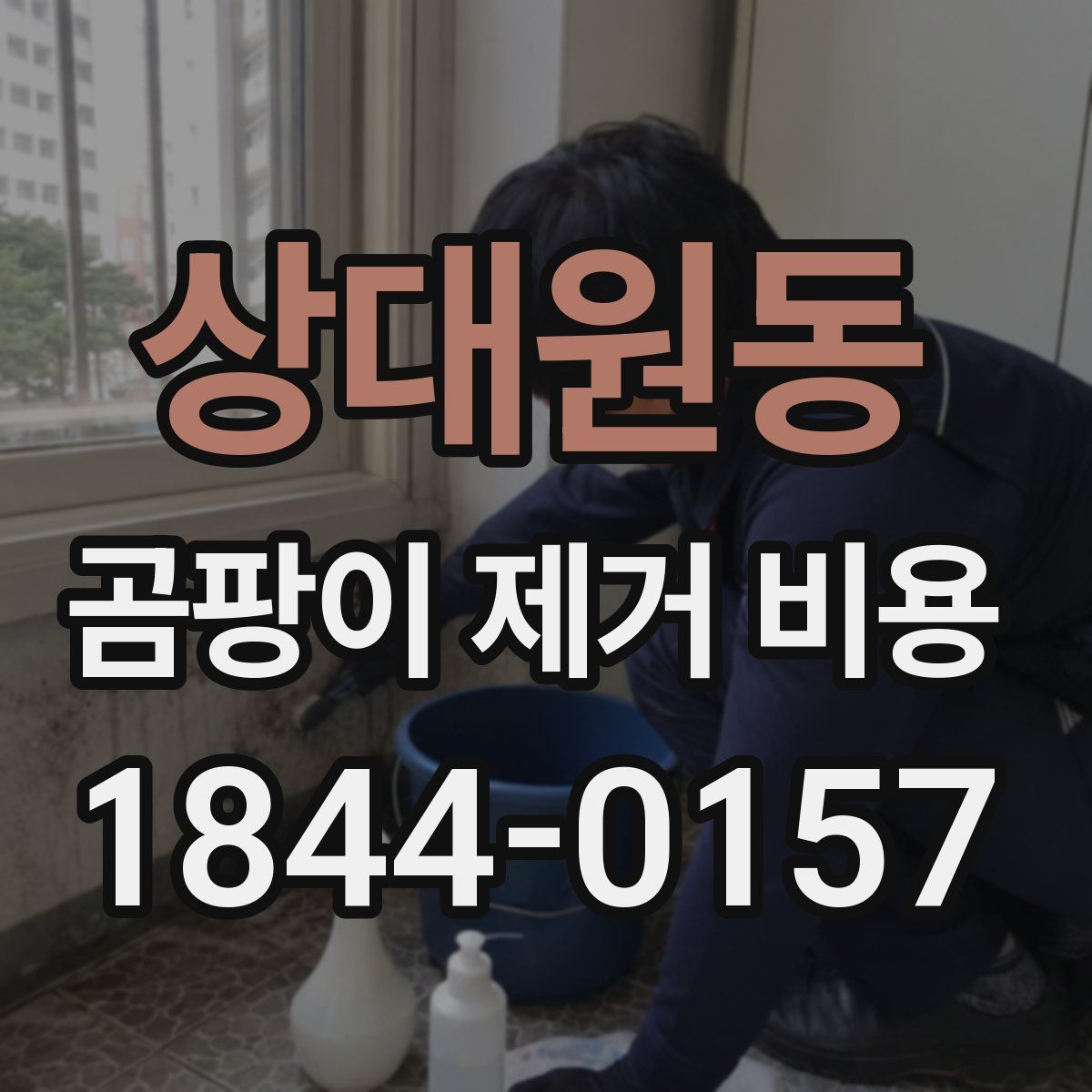 상대원동 곰팡이 제거 비용
