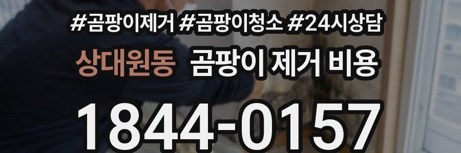 상대원동 곰팡이 제거 비용