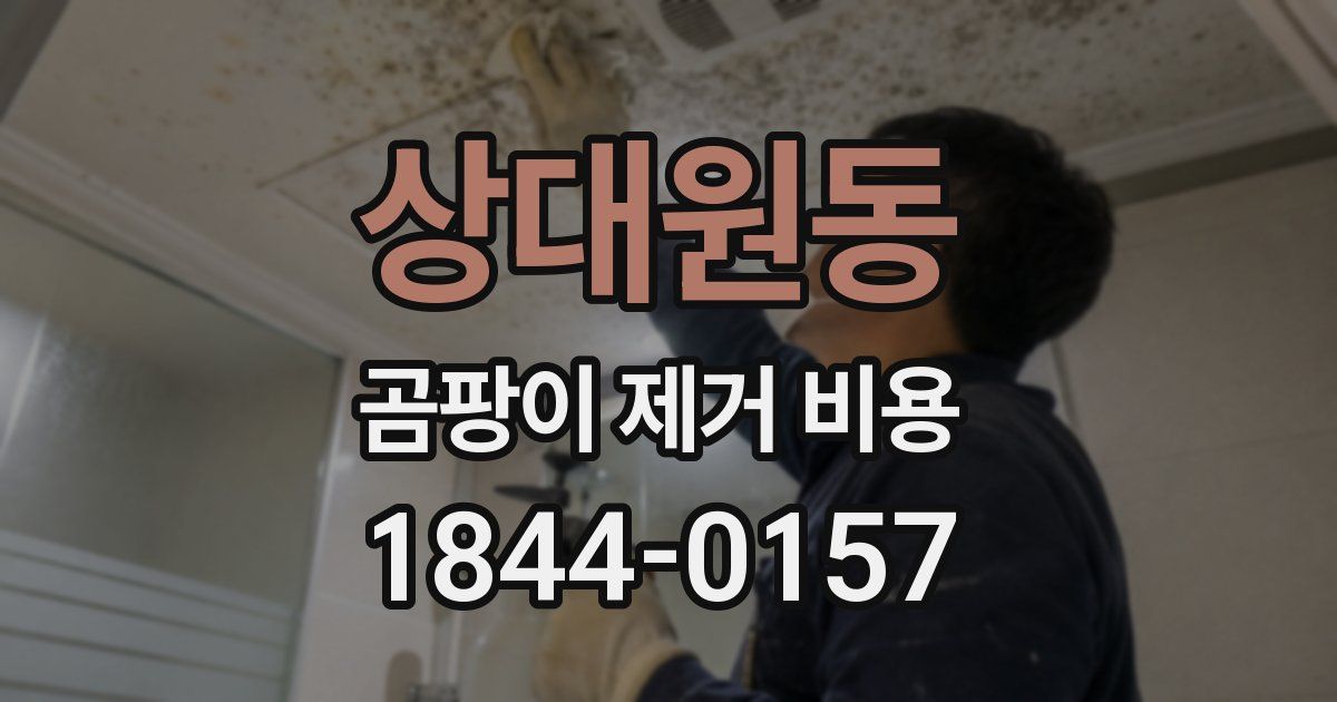 상대원동 곰팡이 제거 비용