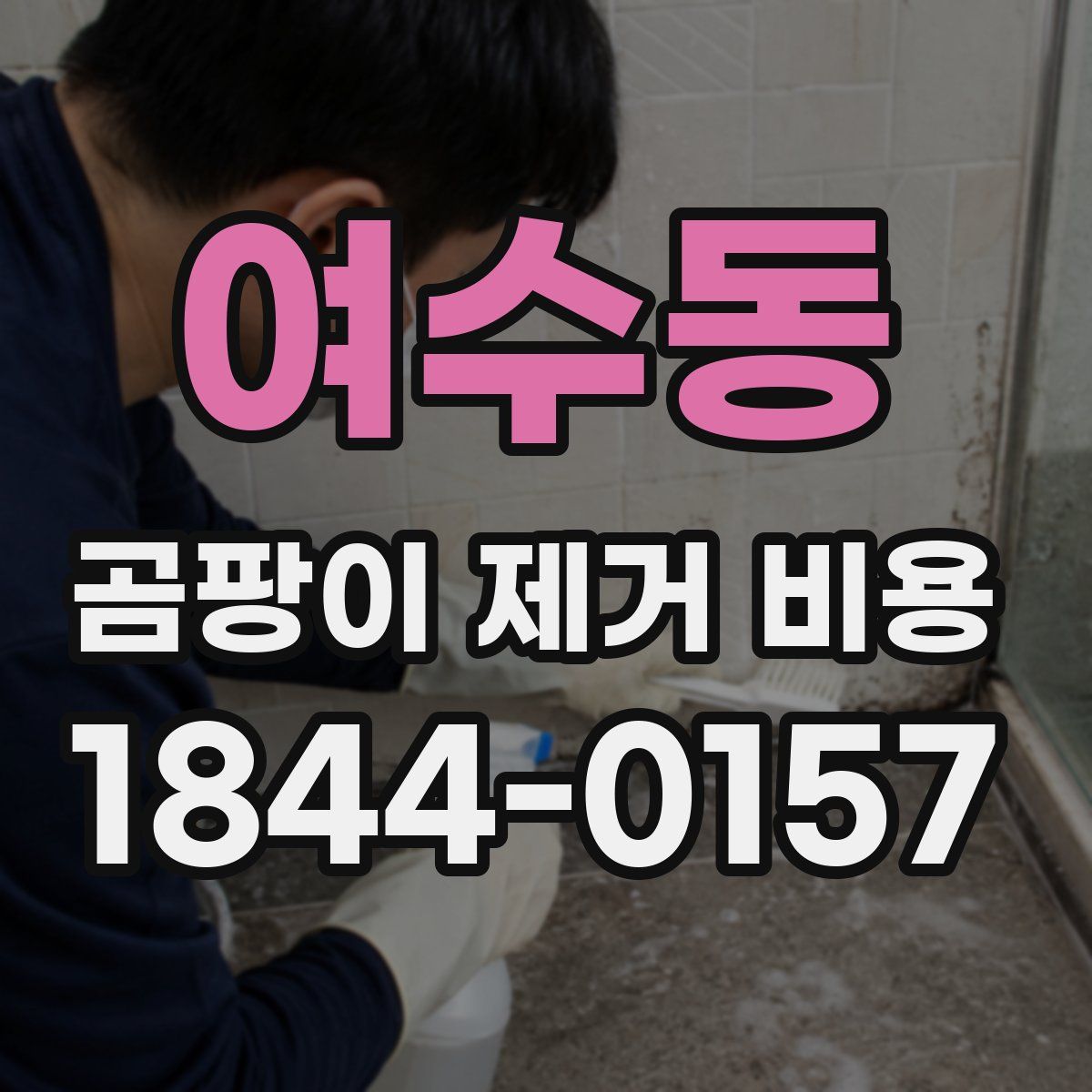 여수동 곰팡이 제거 비용