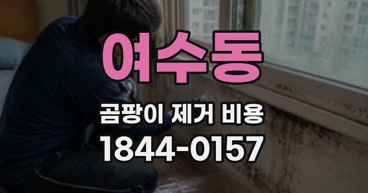 여수동 곰팡이 제거 비용