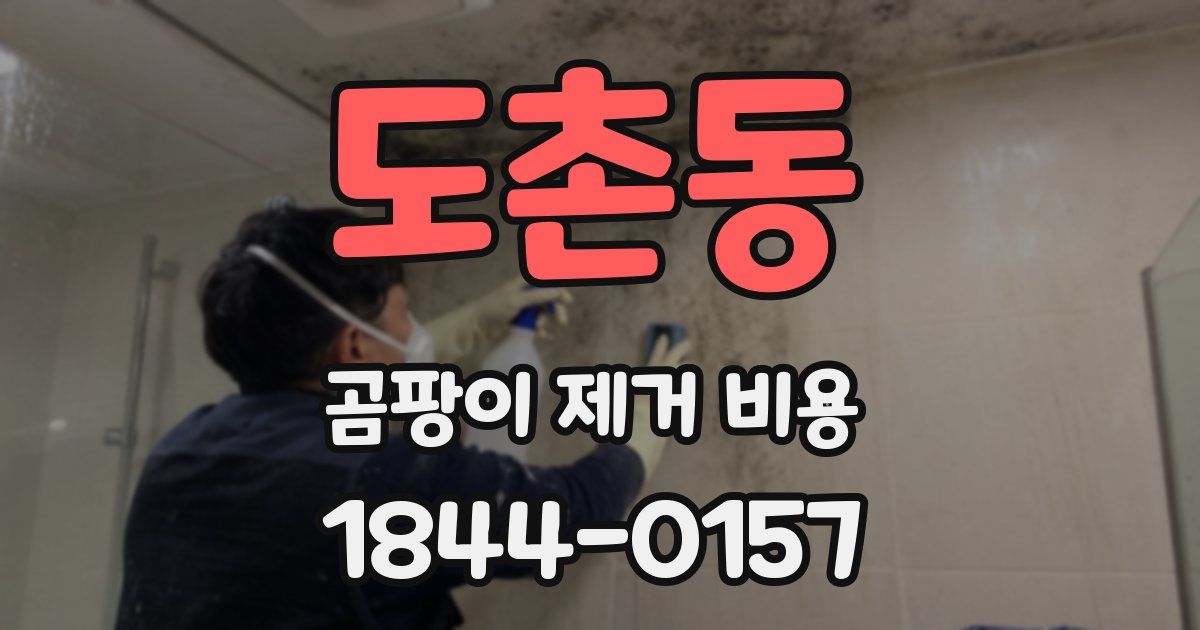 도촌동 곰팡이 제거 비용