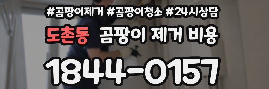 도촌동 곰팡이 제거 비용