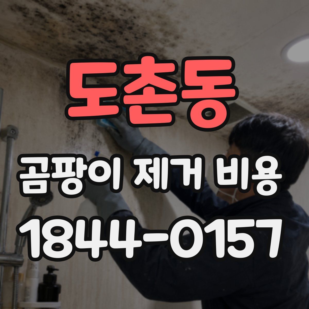 도촌동 곰팡이 제거 비용