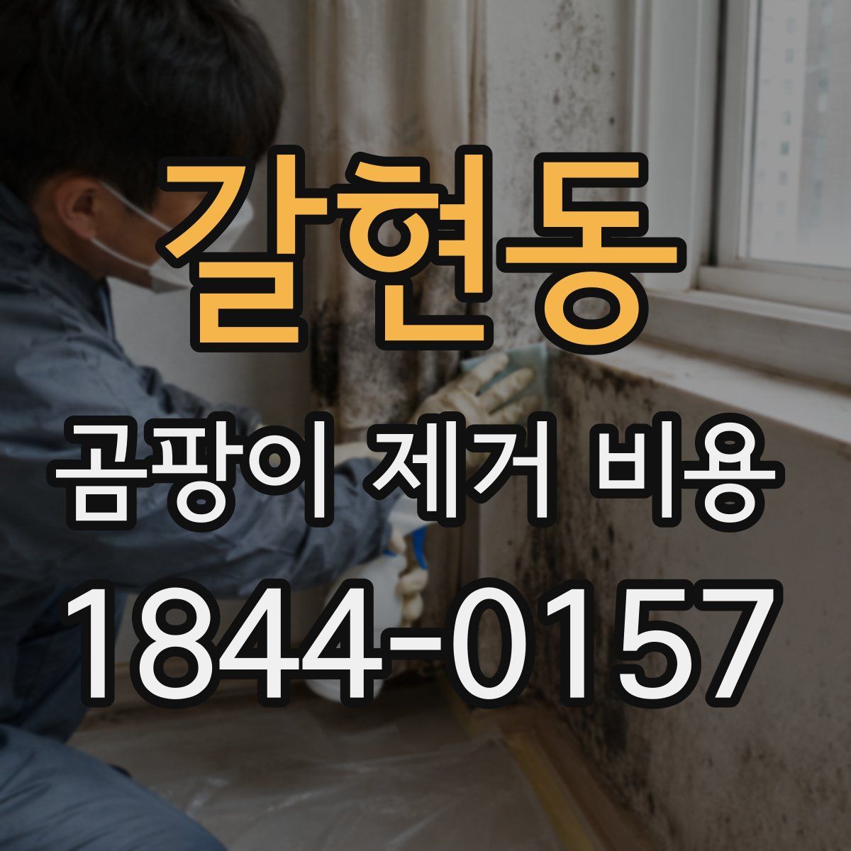 갈현동 곰팡이 제거 비용
