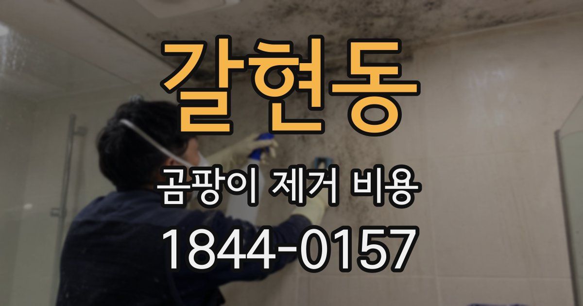 갈현동 곰팡이 제거 비용