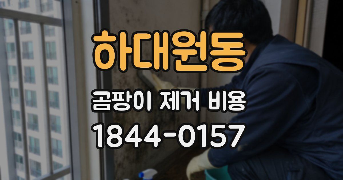 하대원동 곰팡이 제거 비용