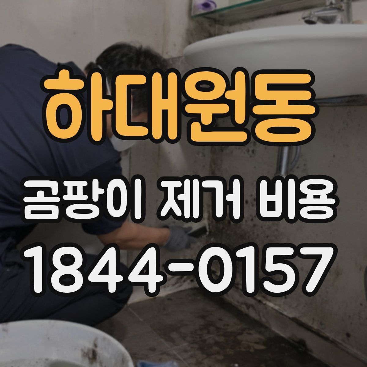 하대원동 곰팡이 제거 비용