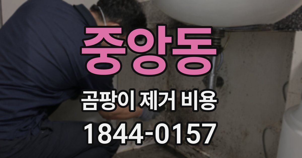 중앙동 곰팡이 제거 비용
