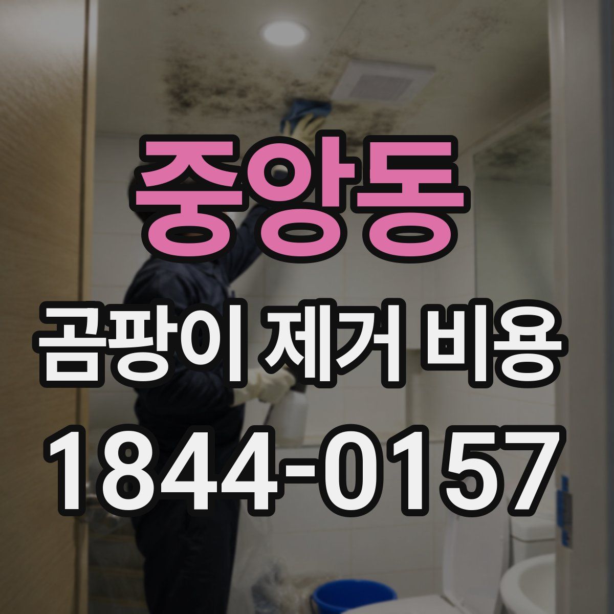 중앙동 곰팡이 제거 비용