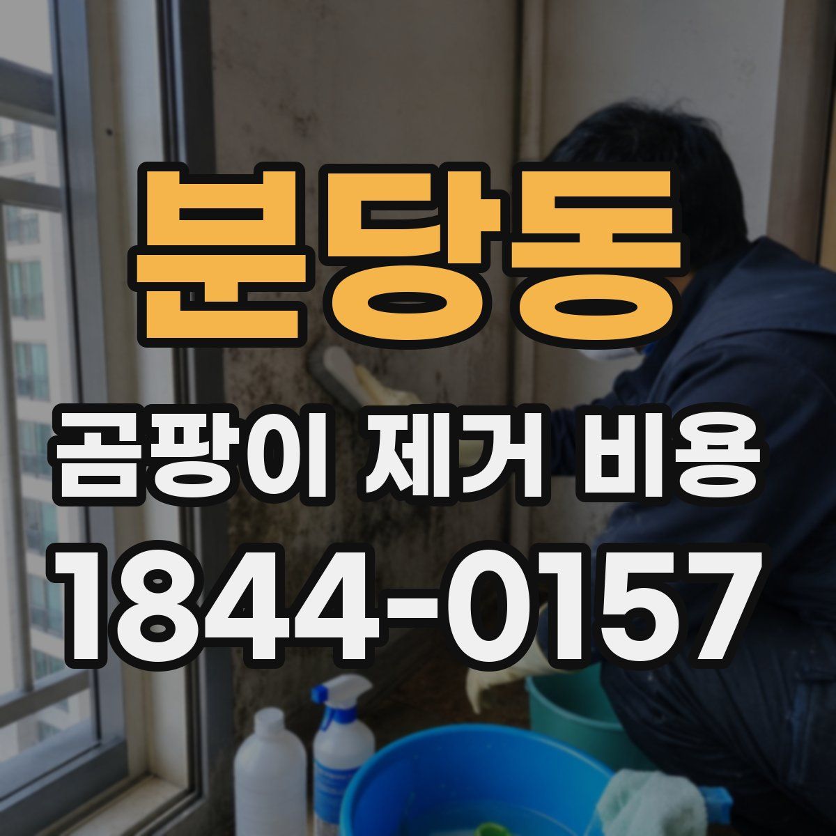 분당동 곰팡이 제거 비용