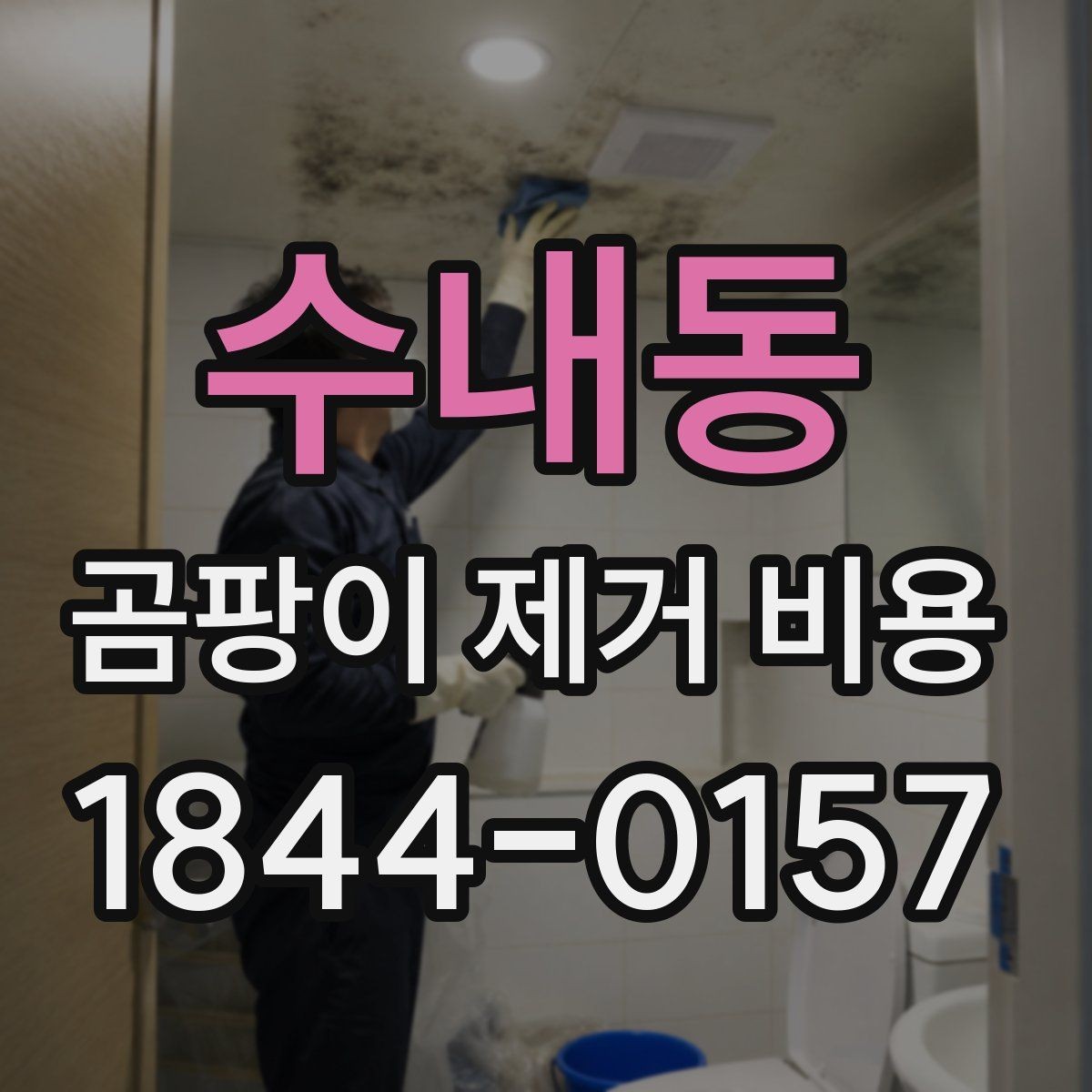 수내동 곰팡이 제거 비용 현장 점검 뒤 추가 비용이 생기는 이유