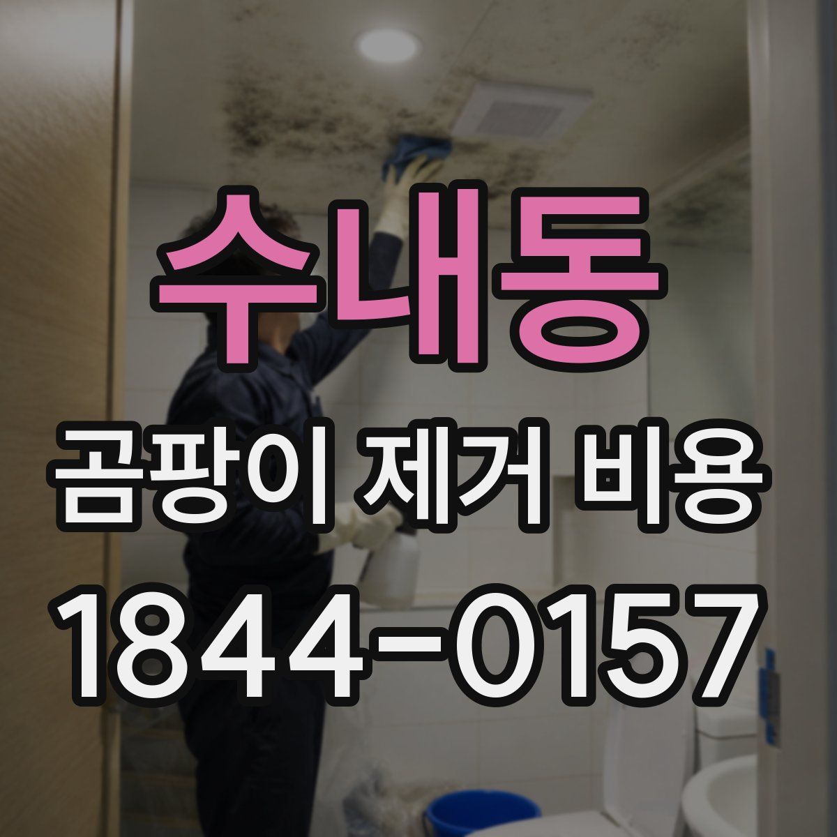 수내동 곰팡이 제거 비용