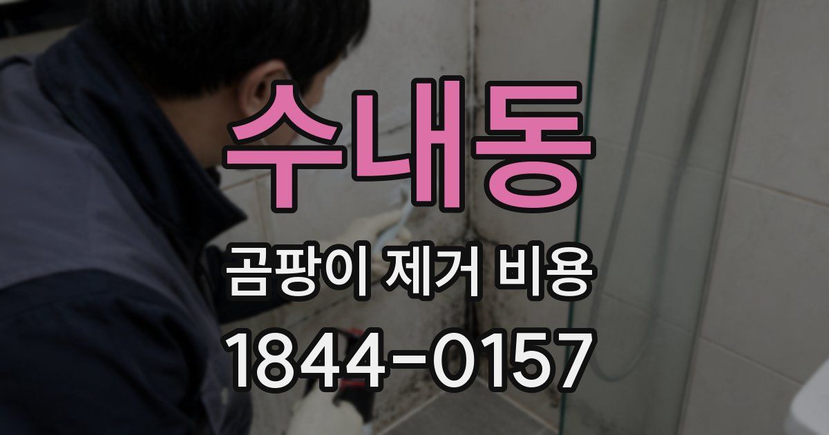 수내동 곰팡이 제거 비용