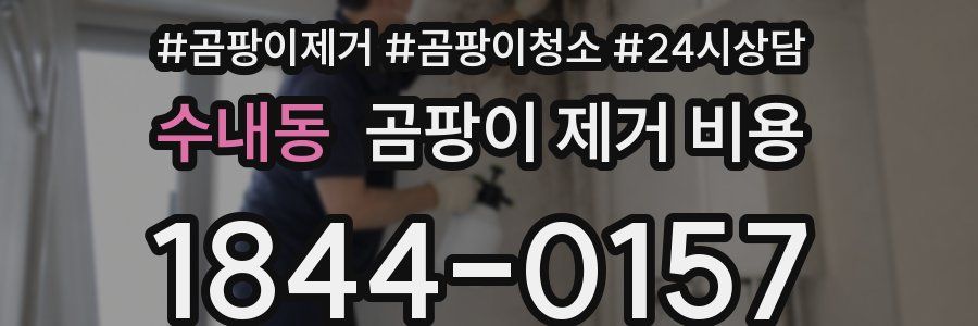 수내동 곰팡이 제거 비용