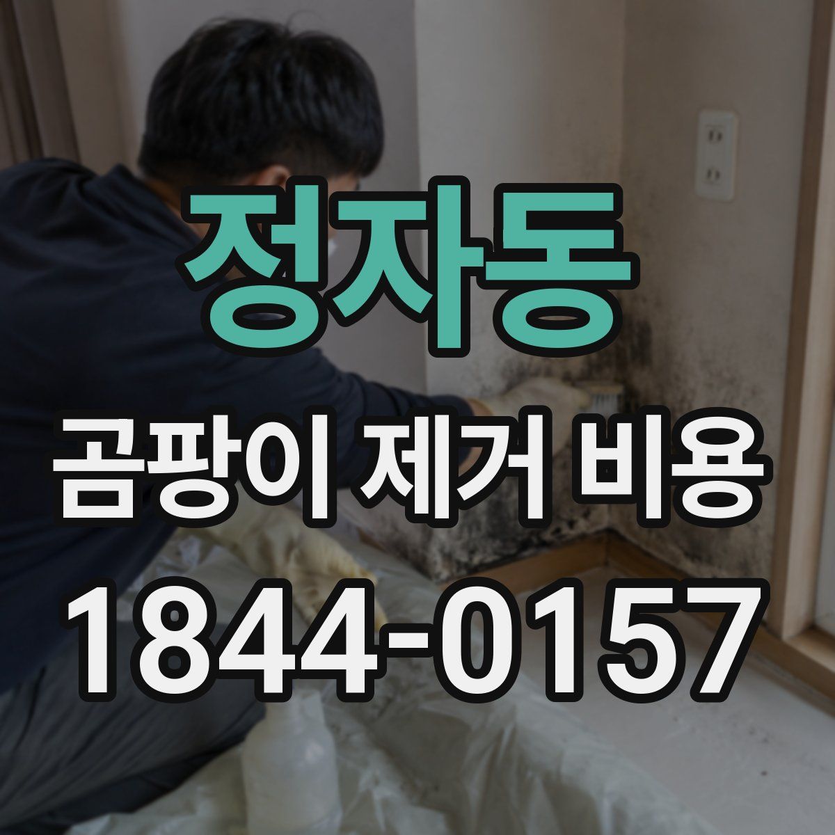 정자동 곰팡이 제거 비용
